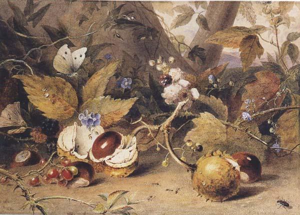 Elizabeth Byrne Still-life with horse chestnuts and insects (mk47) china oil painting image